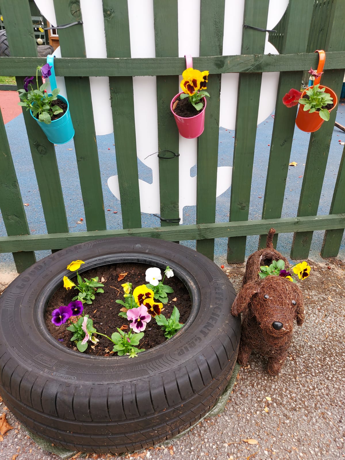 ACORN PLANTING